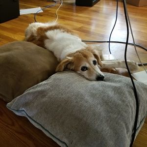 Meet your Posher, Meg